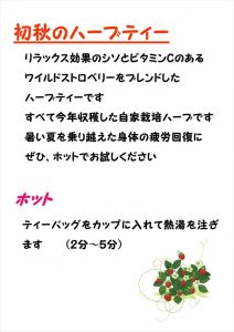 初秋のハーブティー飲み方